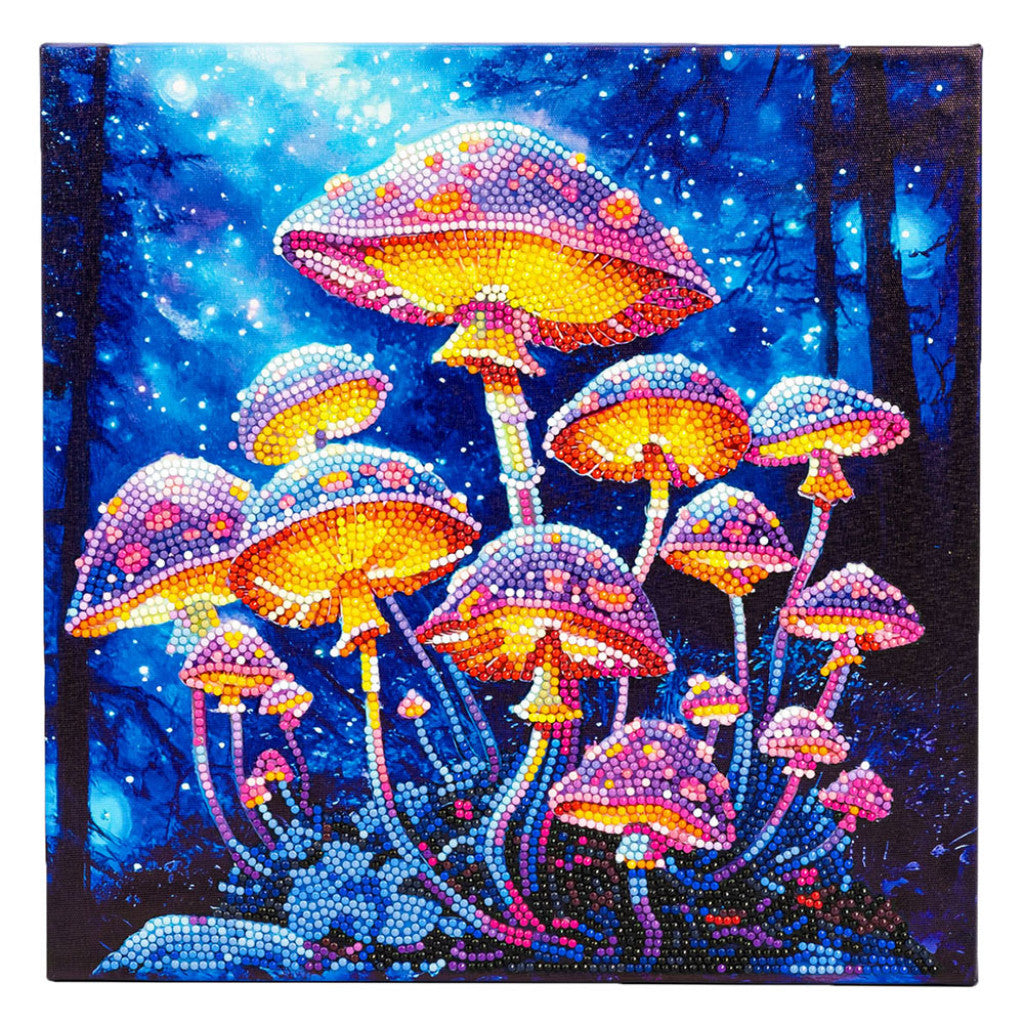 Diamond Dotz Lerret 30x30cm DD34 - Mushroom Moonlight