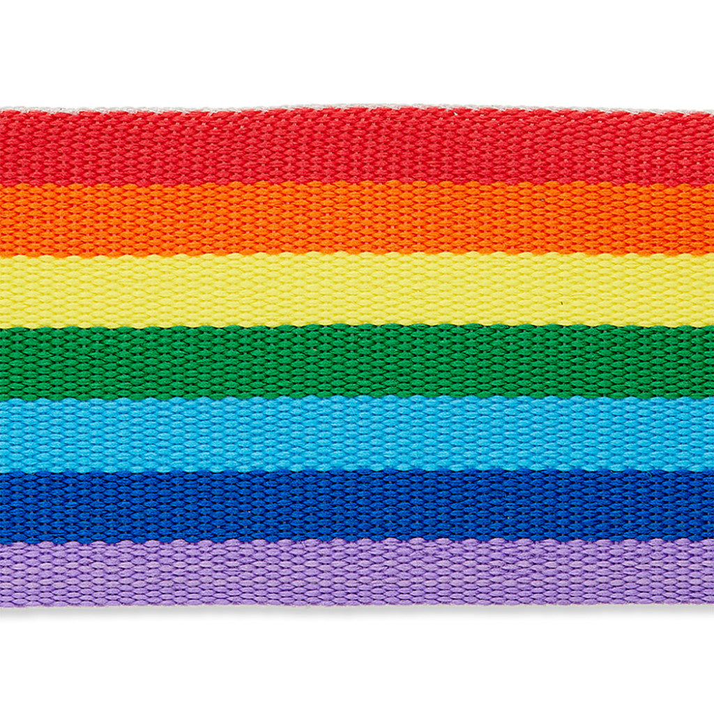 Bånd til veske, Regnbue - 40mm