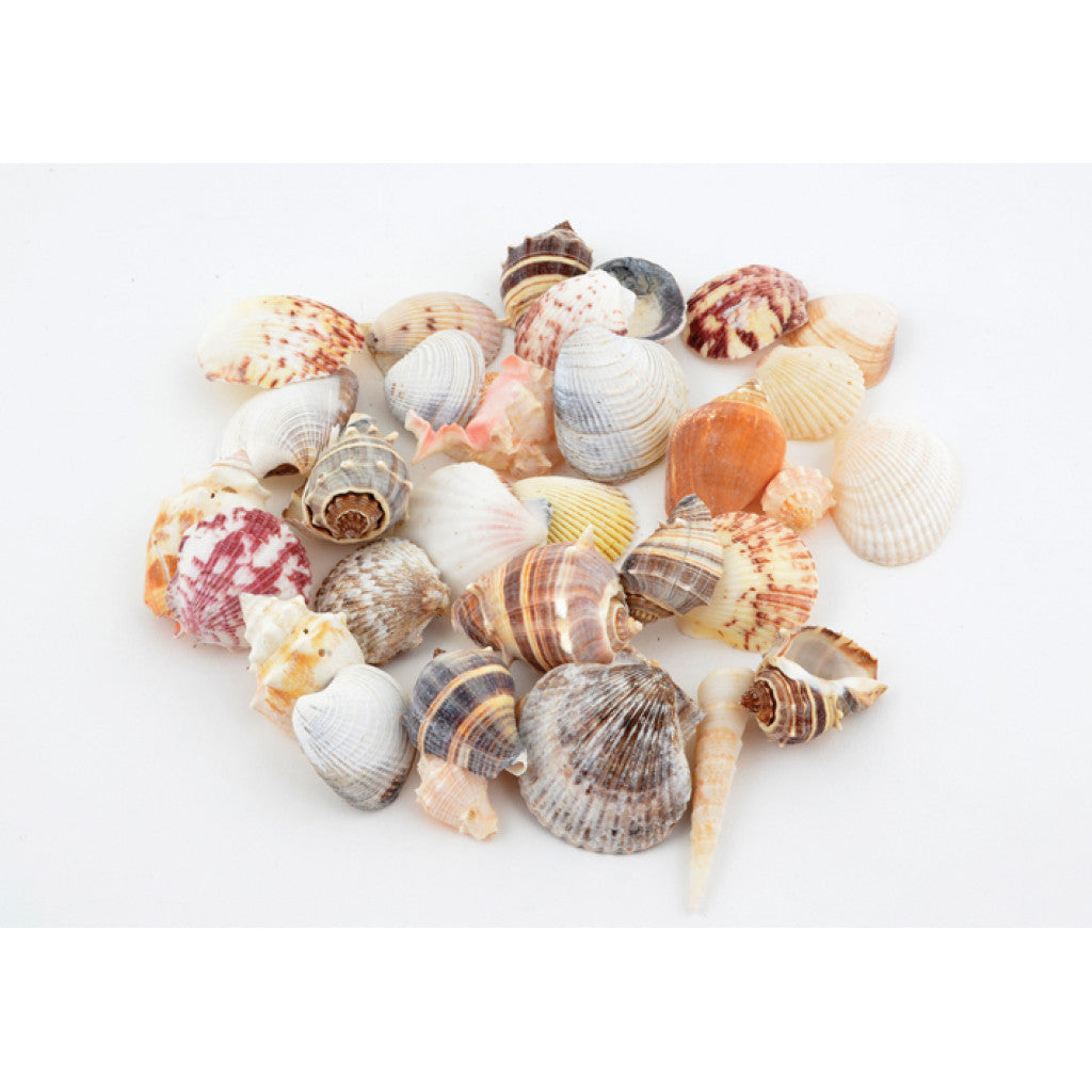 Skjellmix store ca500g