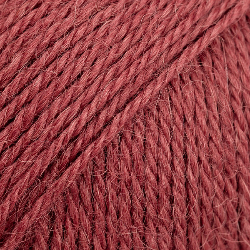 Alpaca Uni - 9040 Kristtornbær