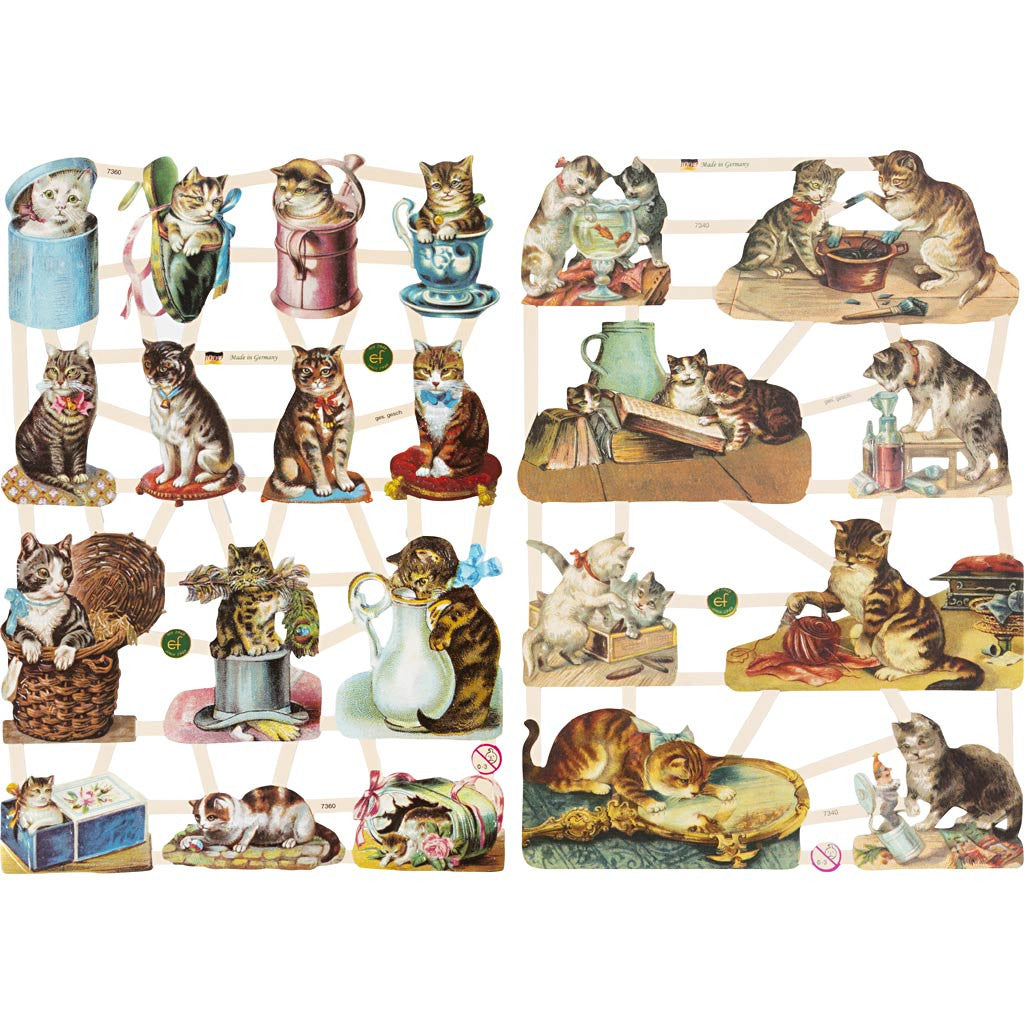 Glansbilder, katter, 16,5x23,5 cm, 2 ark, 1 pk.