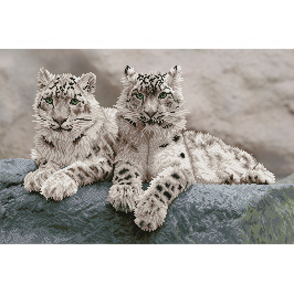 Diamond Dotz DD12 - Snow Leopards Hemis National Park 50 × 75 cm