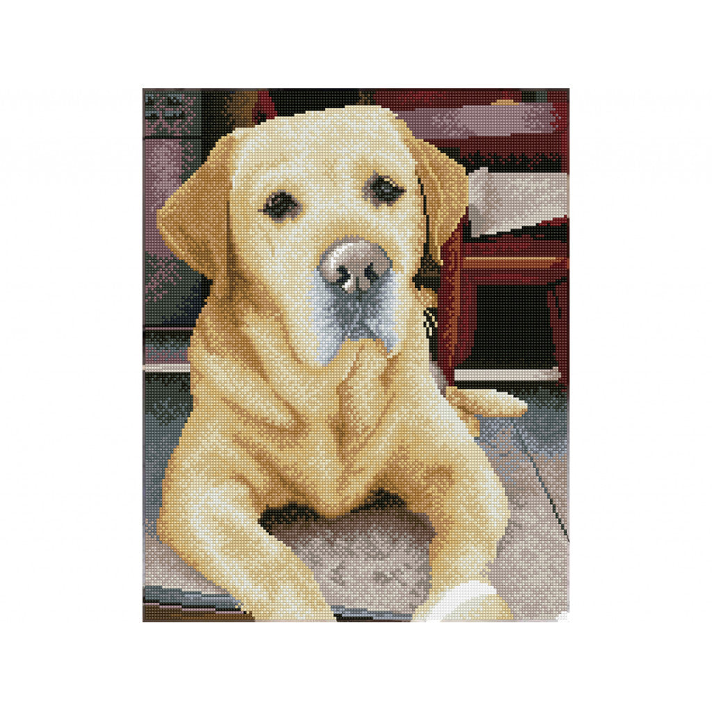Diamond Dotz Squares DQ10 - King 40 × 50 cm