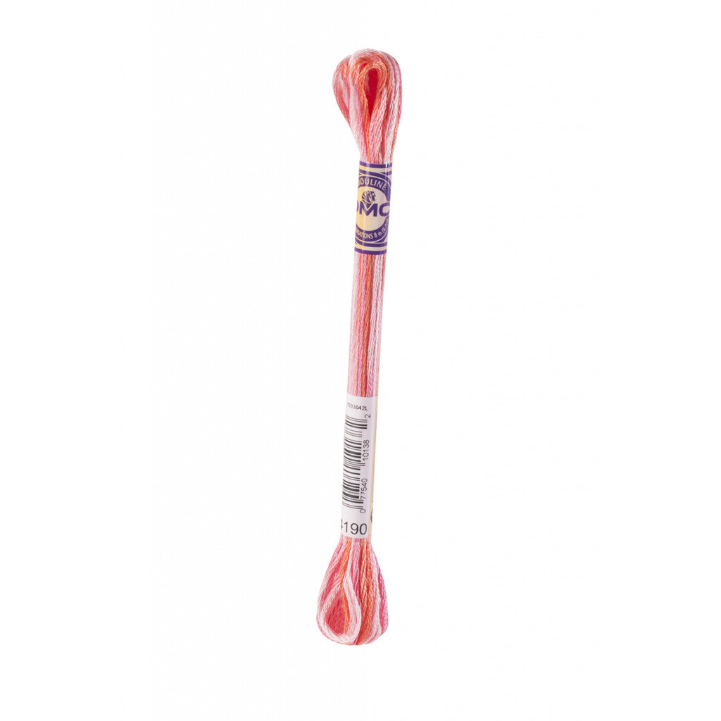 DMC Moulinégarn 417 Variations - 4190