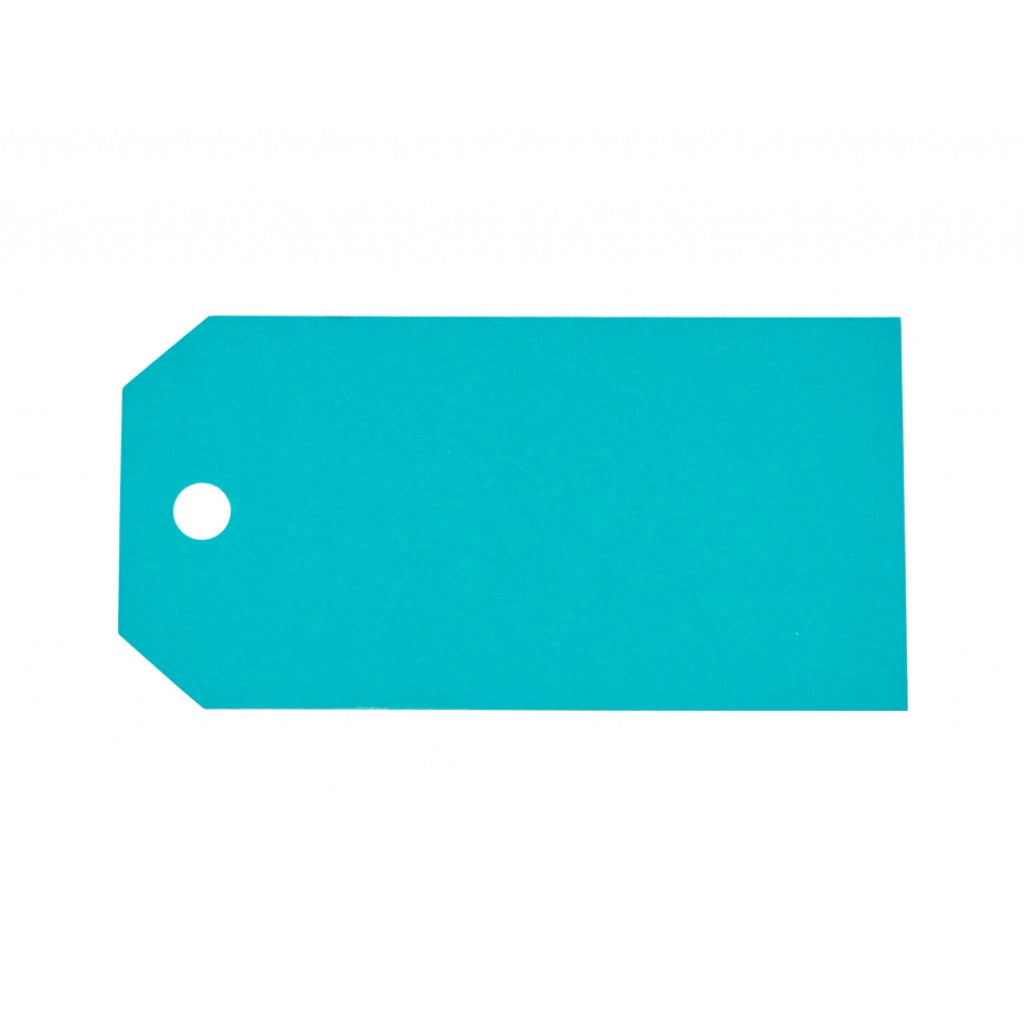 Staz Tags 48x95mm 20stk - 21 Pacific