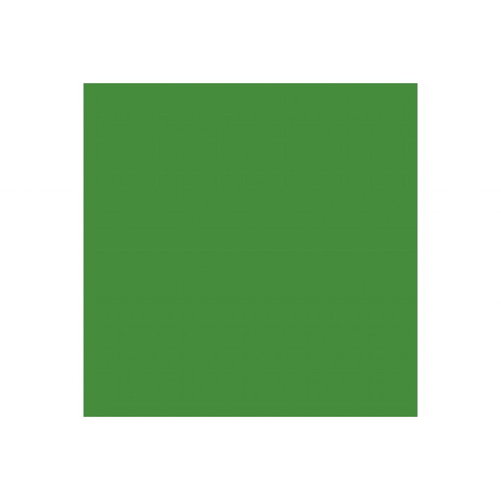 Vallejo Model Color 70.891 - Intermediate Green