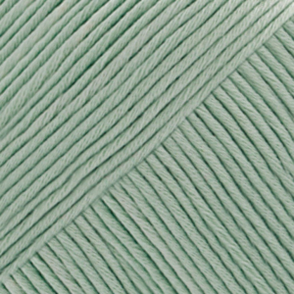 Muskat Uni - 20 Lys Mint