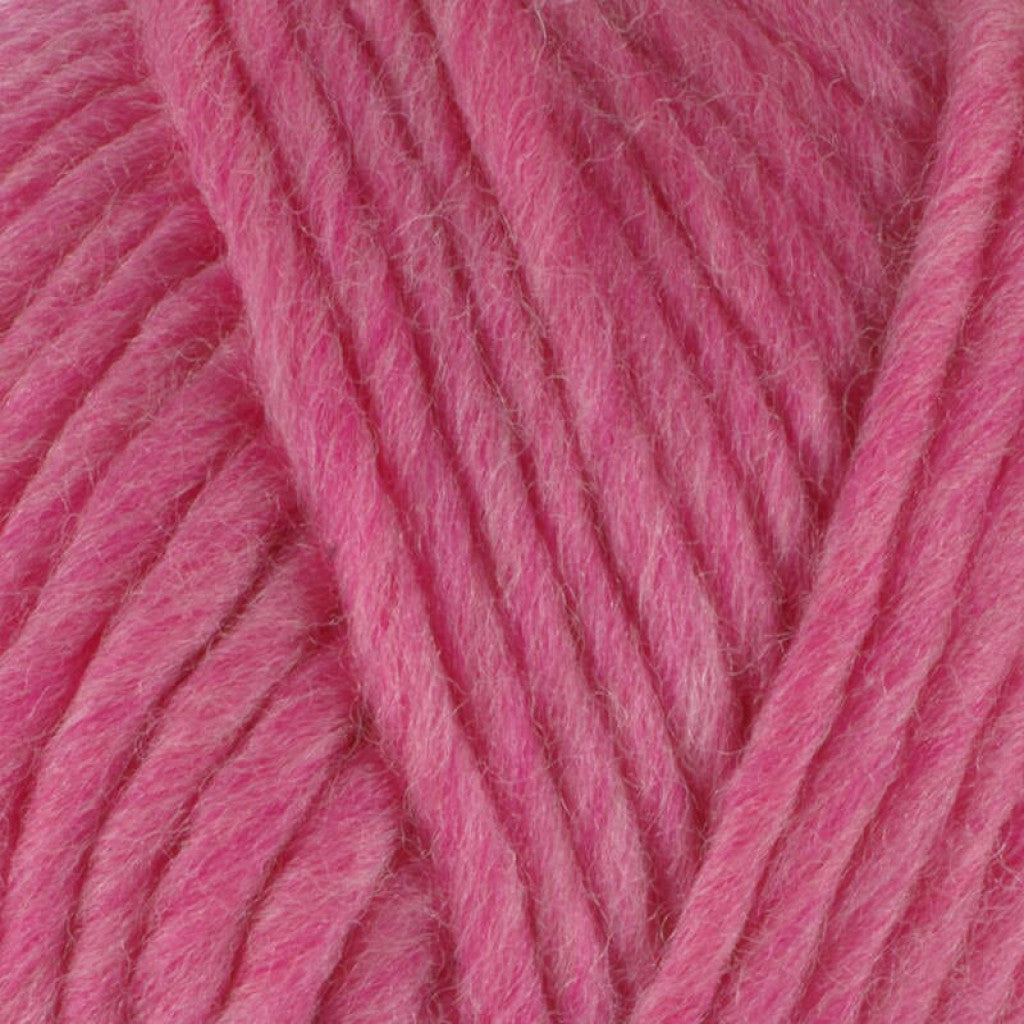 Viking Snorre - 261 Rosa