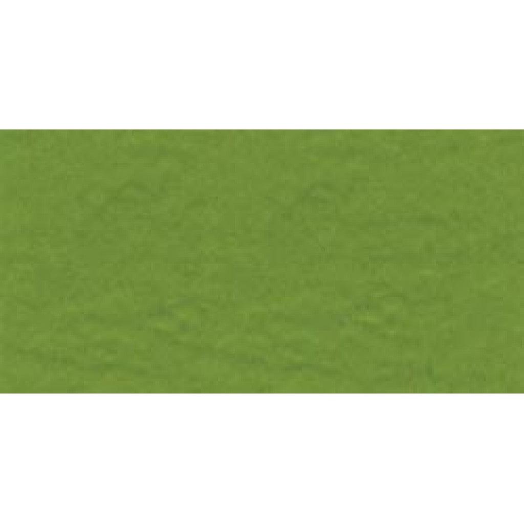 Bazzill Prismatic Cardstock 12"X12"-Intense Kiwi - HobbyHimmelen