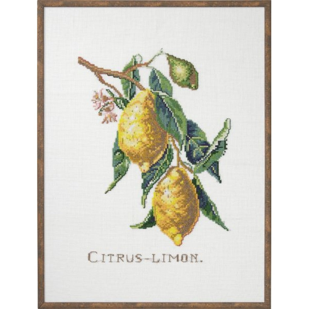 Korsstingsbroderi Eva Rosenstand - Citrus-Lemon, 29x39cm