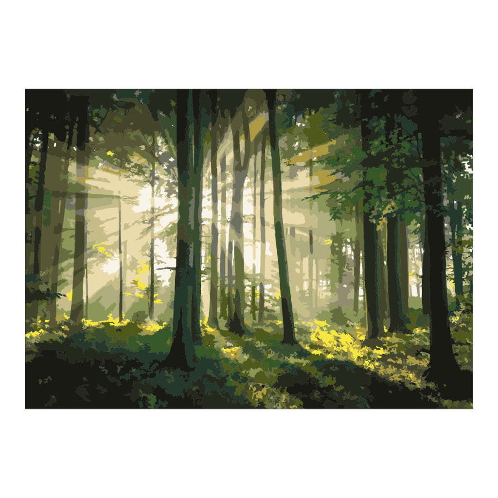 Paint By Number Skog