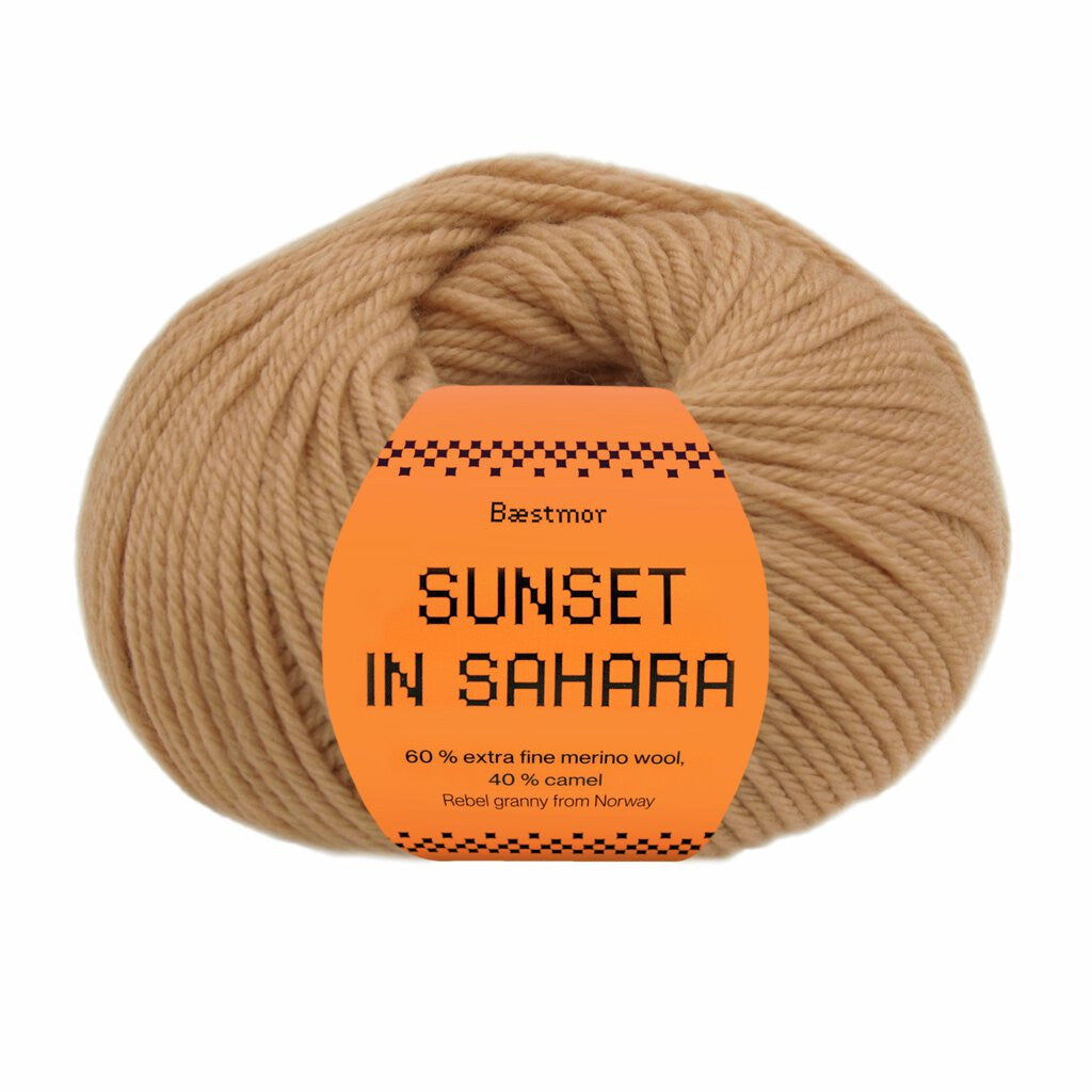 Sunset in Sahara - 308 Camel
