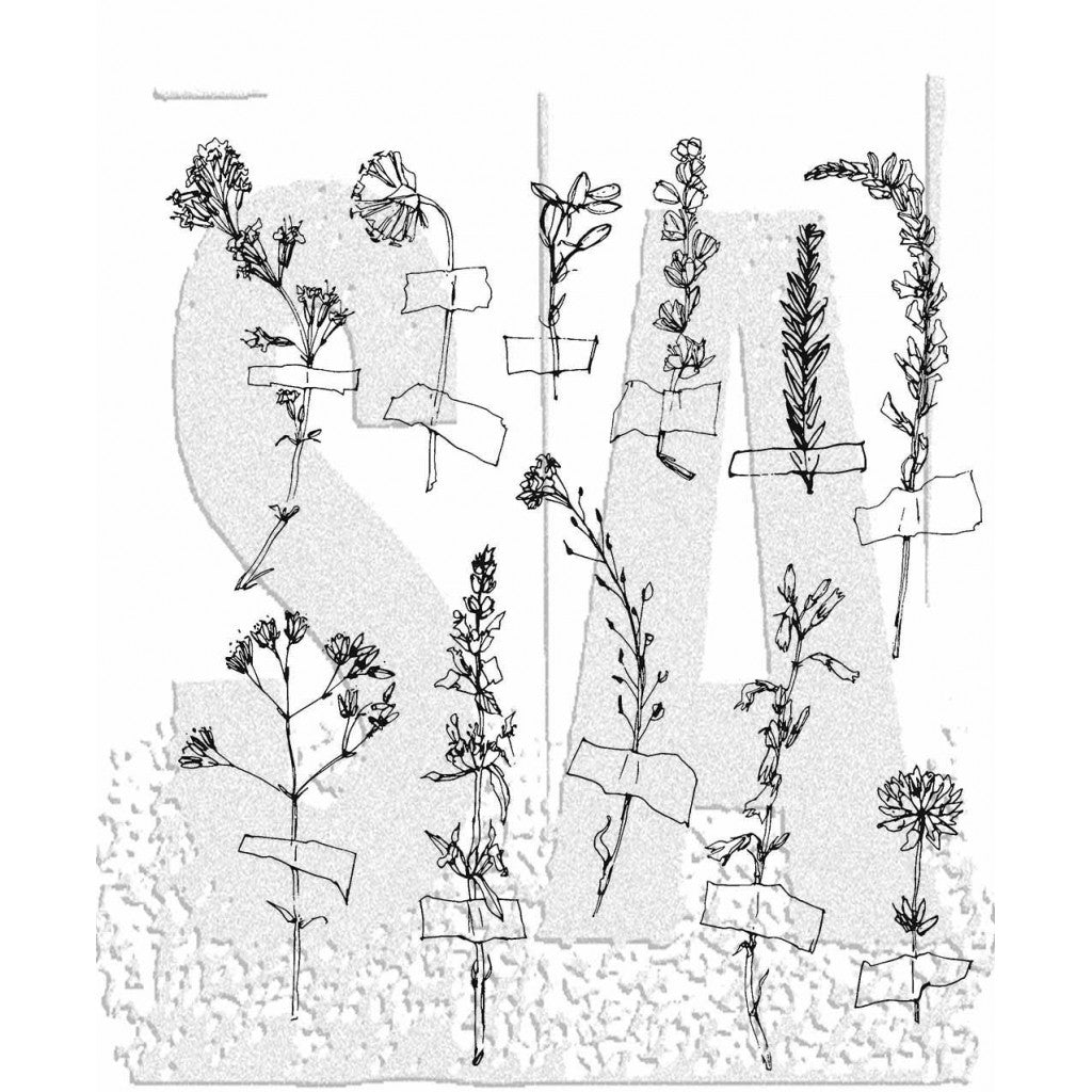 Tim Holtz Cling Stamps 19x21cm - Forgotten Garden