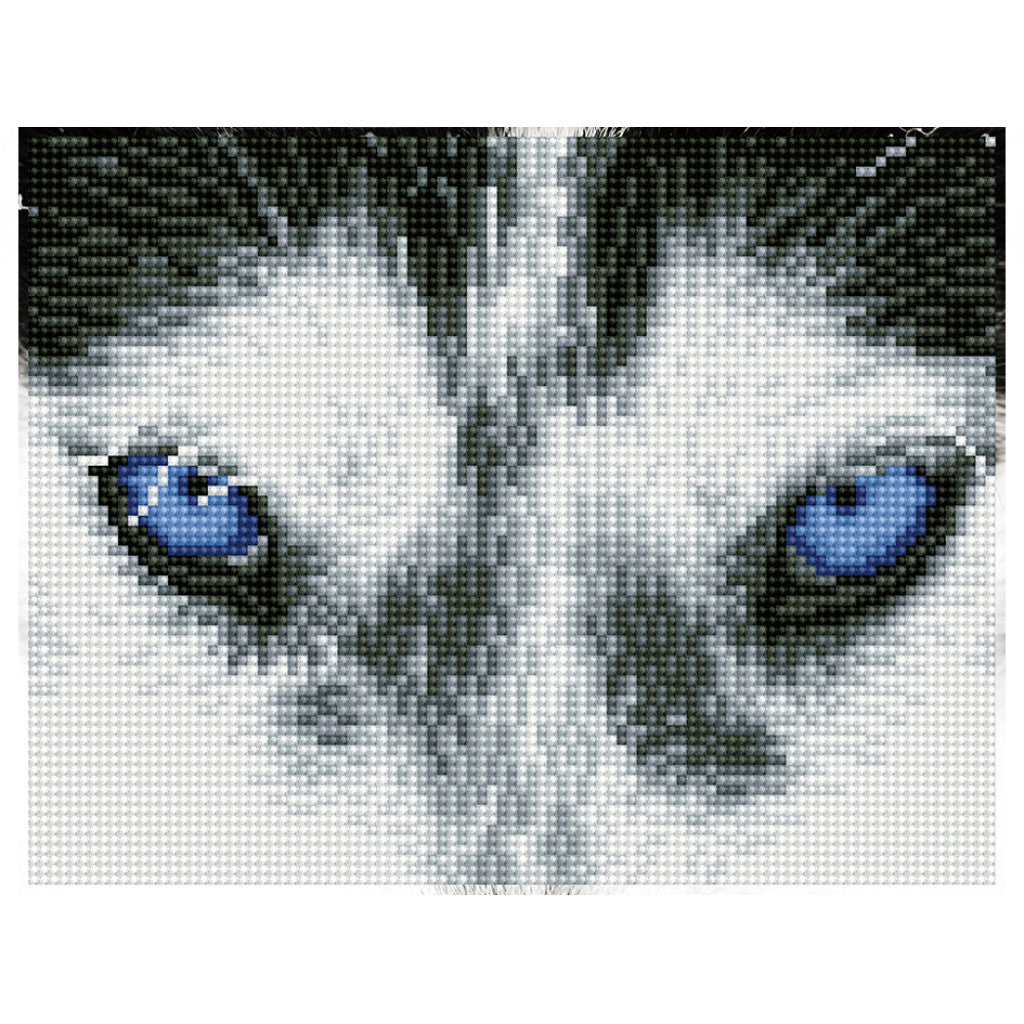 Diamond Dotz Squares DQ7 - Mystic Husky 20 × 26 cm