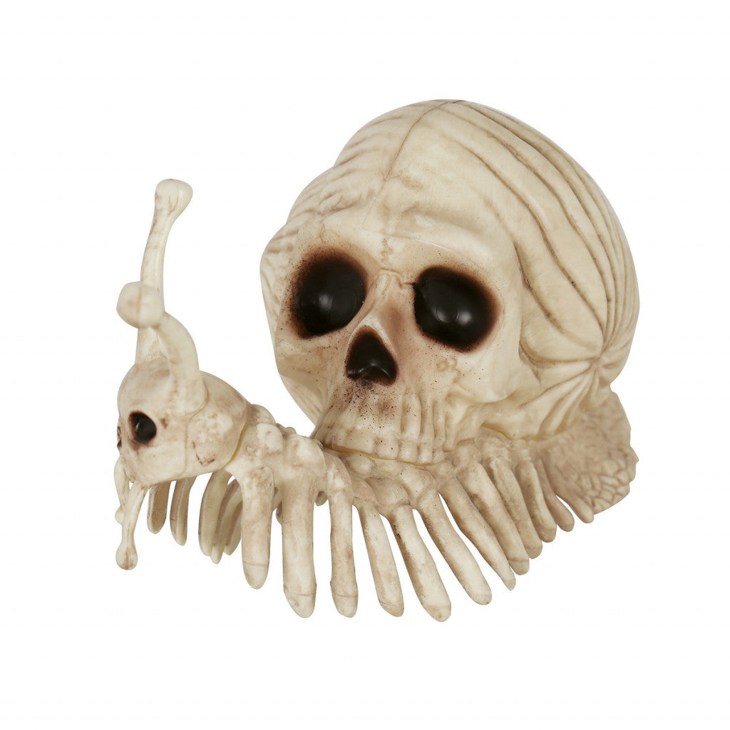 Skjelett, 22cm - Snegle