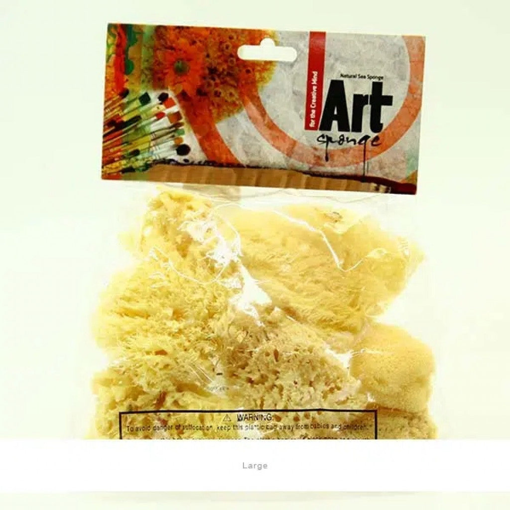Natursvamper - 5 Assorterte