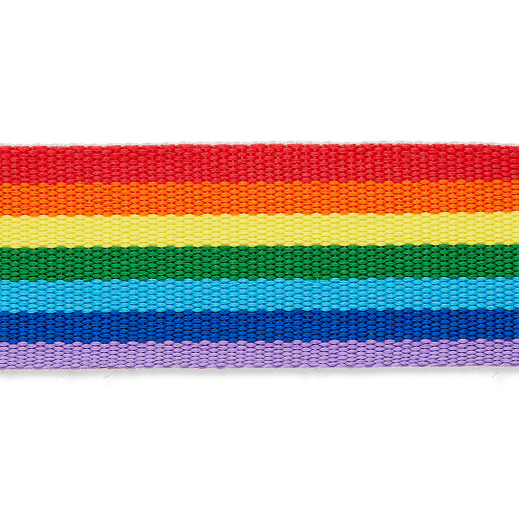Bånd til veske, Regnbue - 25mm