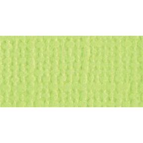 Bazzill Cardstock 12"X12"-Limeade/Canvas - HobbyHimmelen