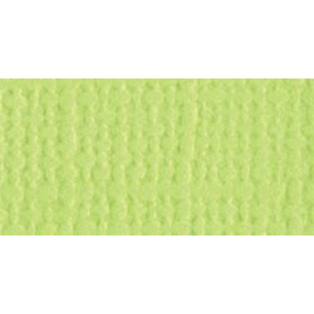 Bazzill Cardstock 12"X12"-Limeade/Canvas - HobbyHimmelen
