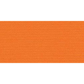 Bazzill Cardstock 12"X12"-Bazzill Orange/Classic - HobbyHimmelen