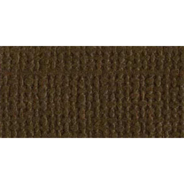 Bazzill Cardstock 12"X12"-Pinecone/Canvas - HobbyHimmelen