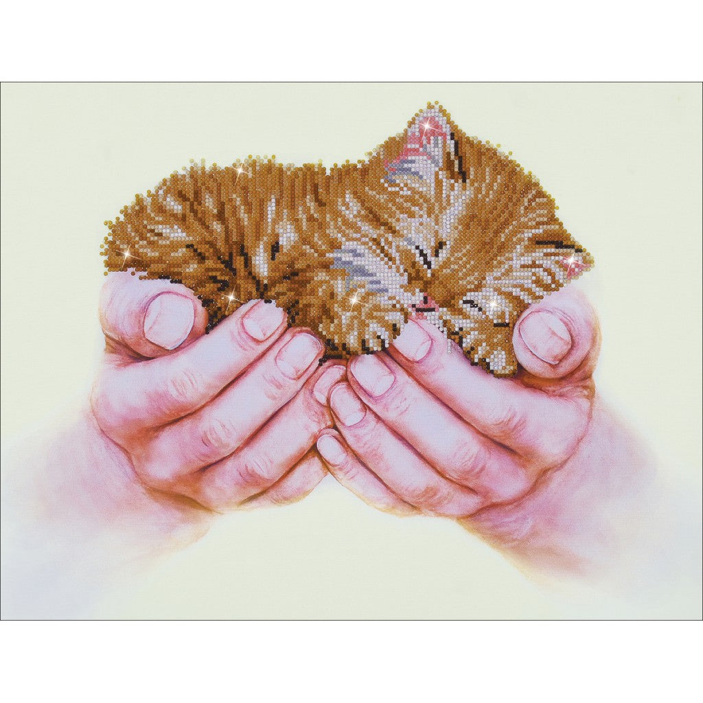 Diamond Dotz DD7 - Precious Kitten