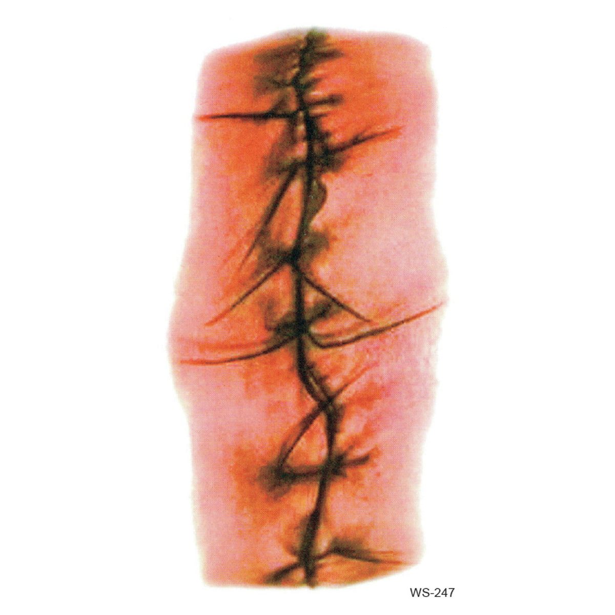 Tattoo Stickers Halloween Sår