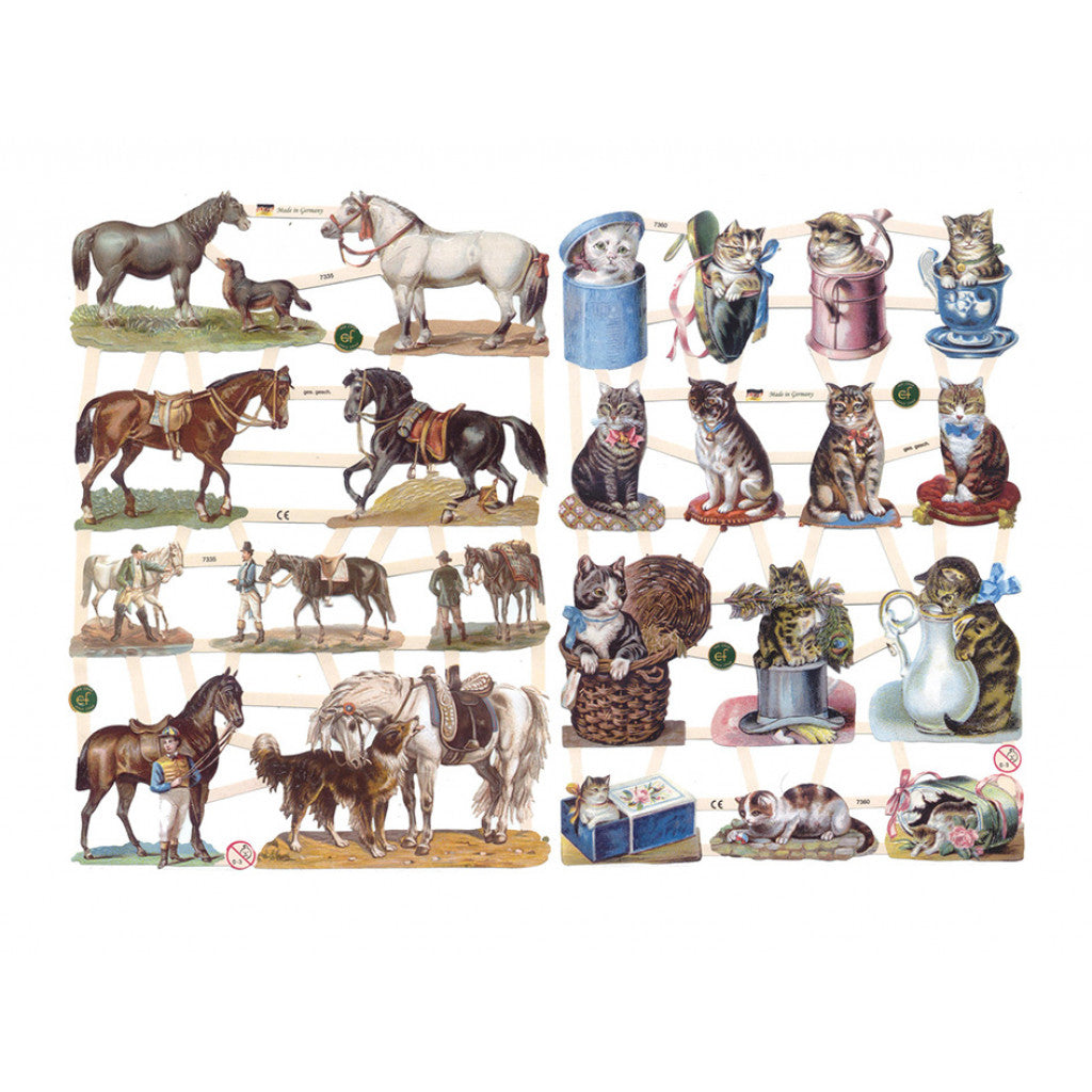 Glansbilder hester/katter