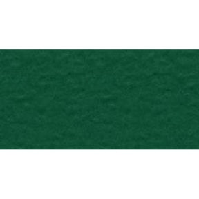 Bazzill Prismatic Cardstock 12"X12"-Classic Green - HobbyHimmelen