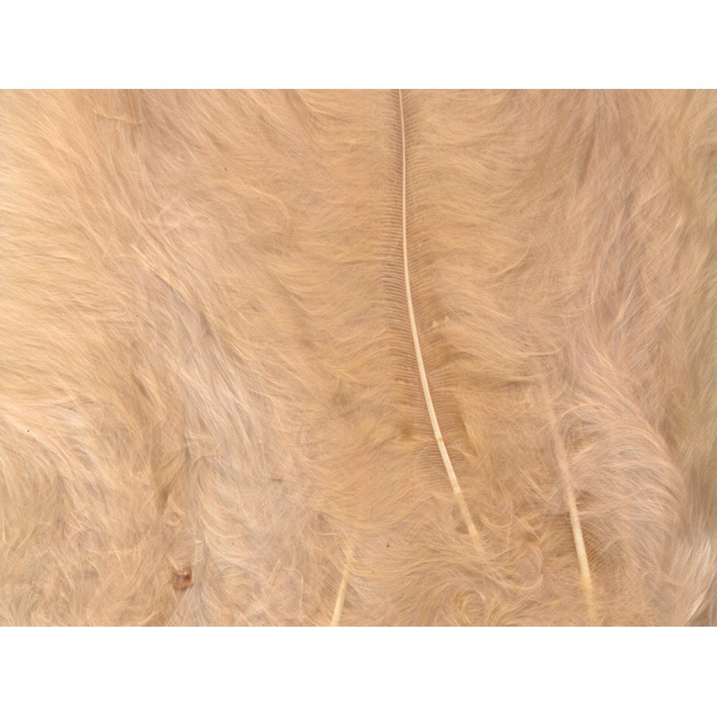 Fjær 15 stk Beige