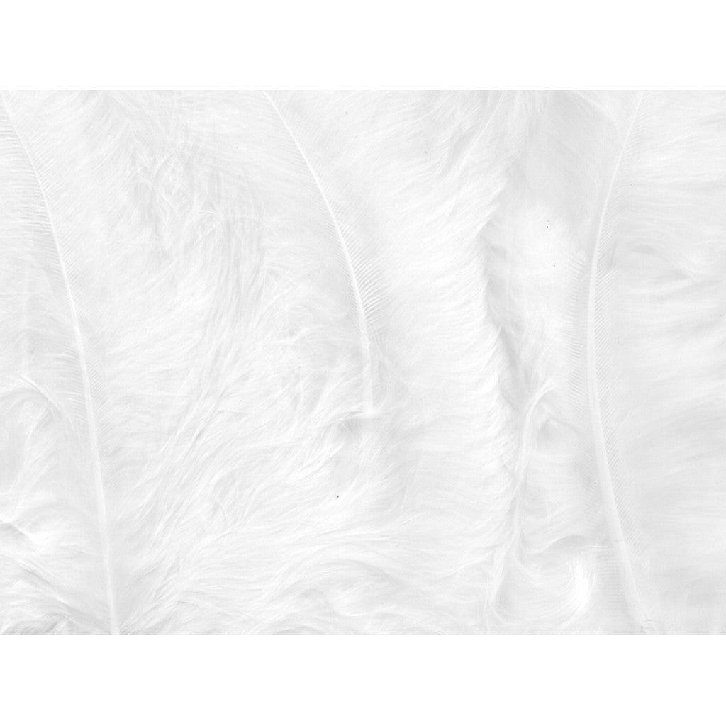 Fjær 15 stk Hvit