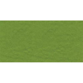 Bazzill Prismatic Cardstock 12"X12"-Intense Kiwi - HobbyHimmelen