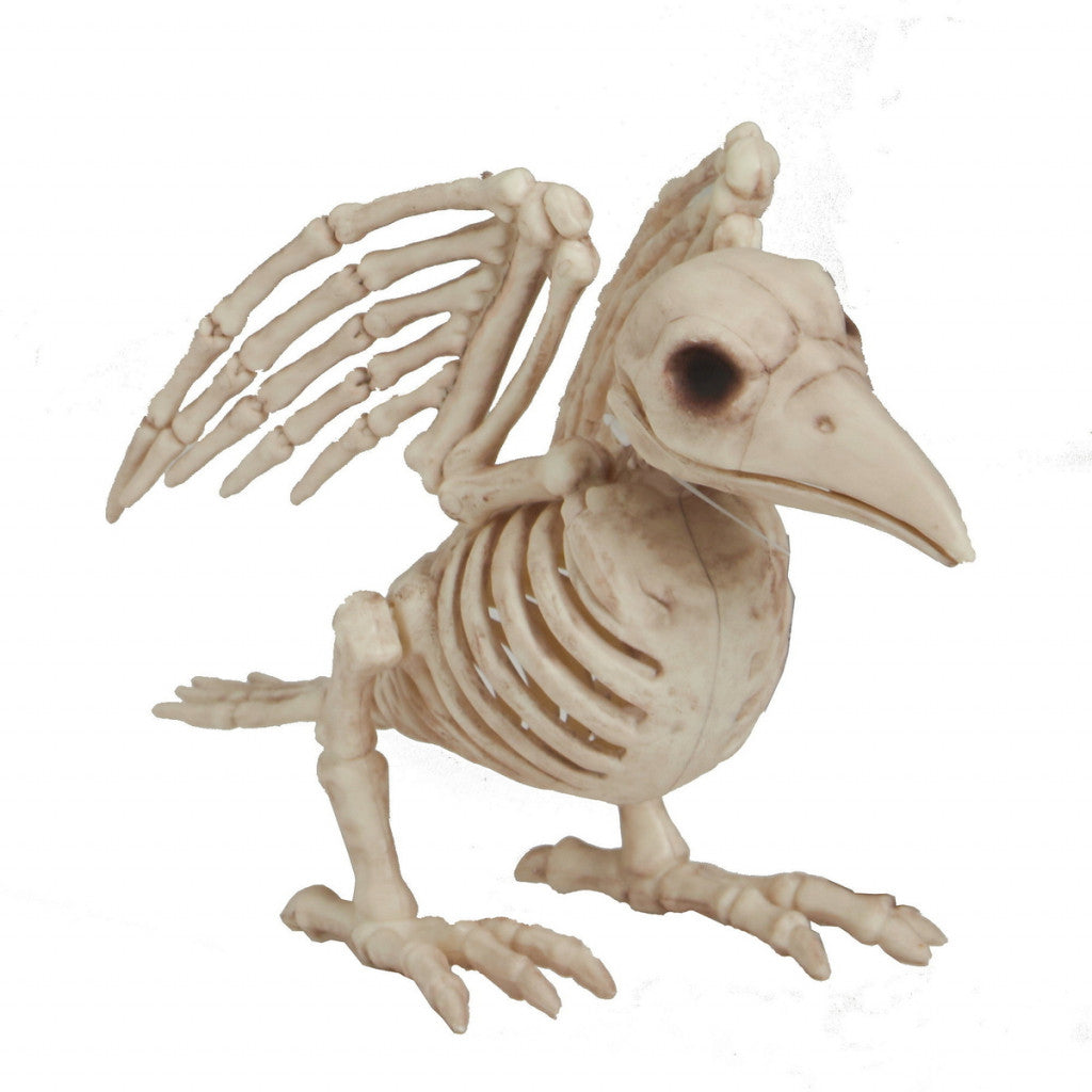 Skjelett 19cm - Fugl