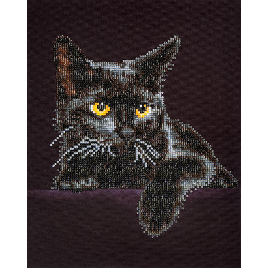 Diamond Dotz DD5 - Midnight Cat