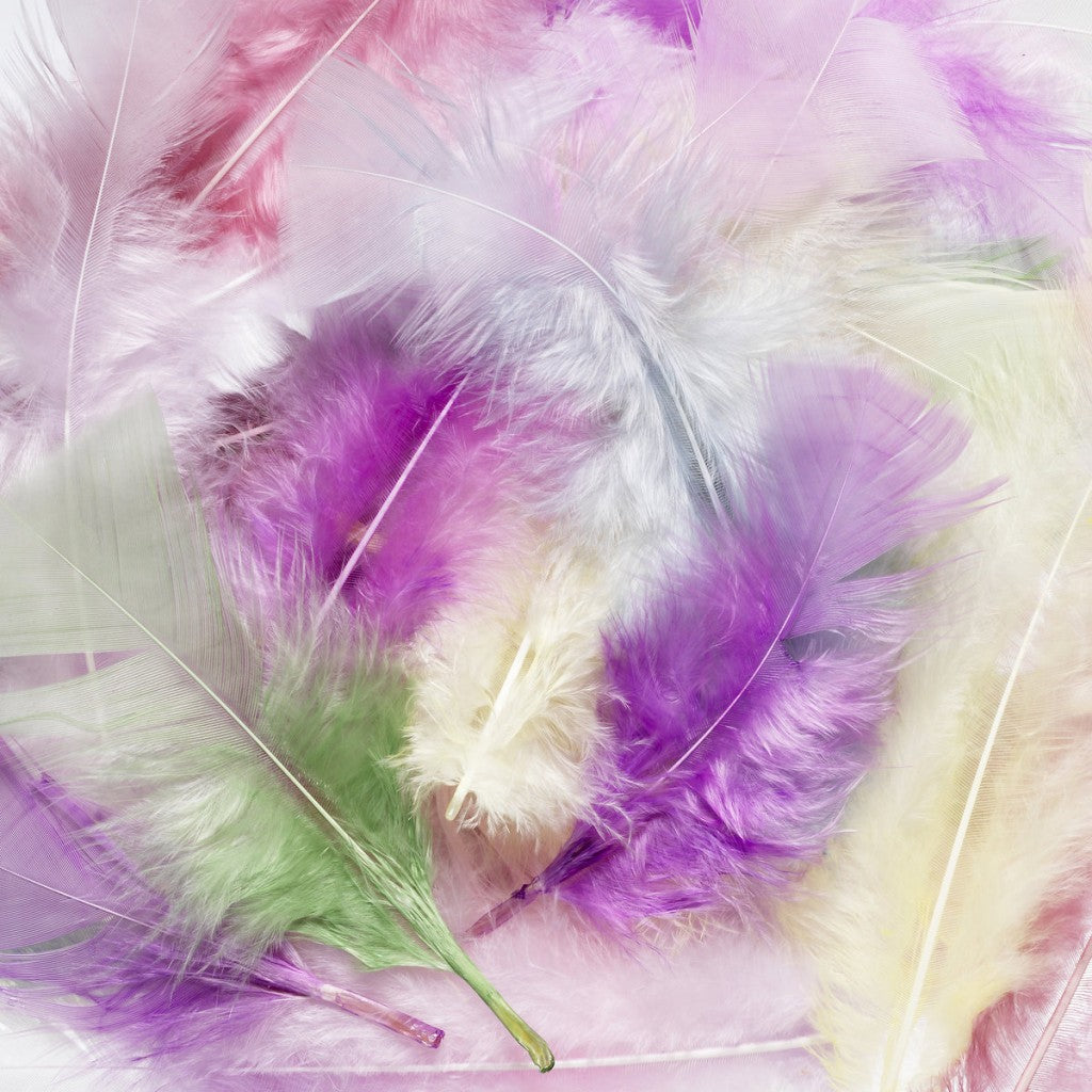 Fjær Pastellblanding 200 Stk.